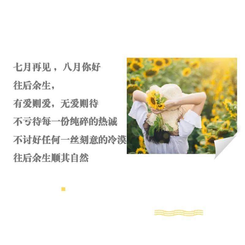 八月干净治愈文案短句（迎接8月朋友圈语录）