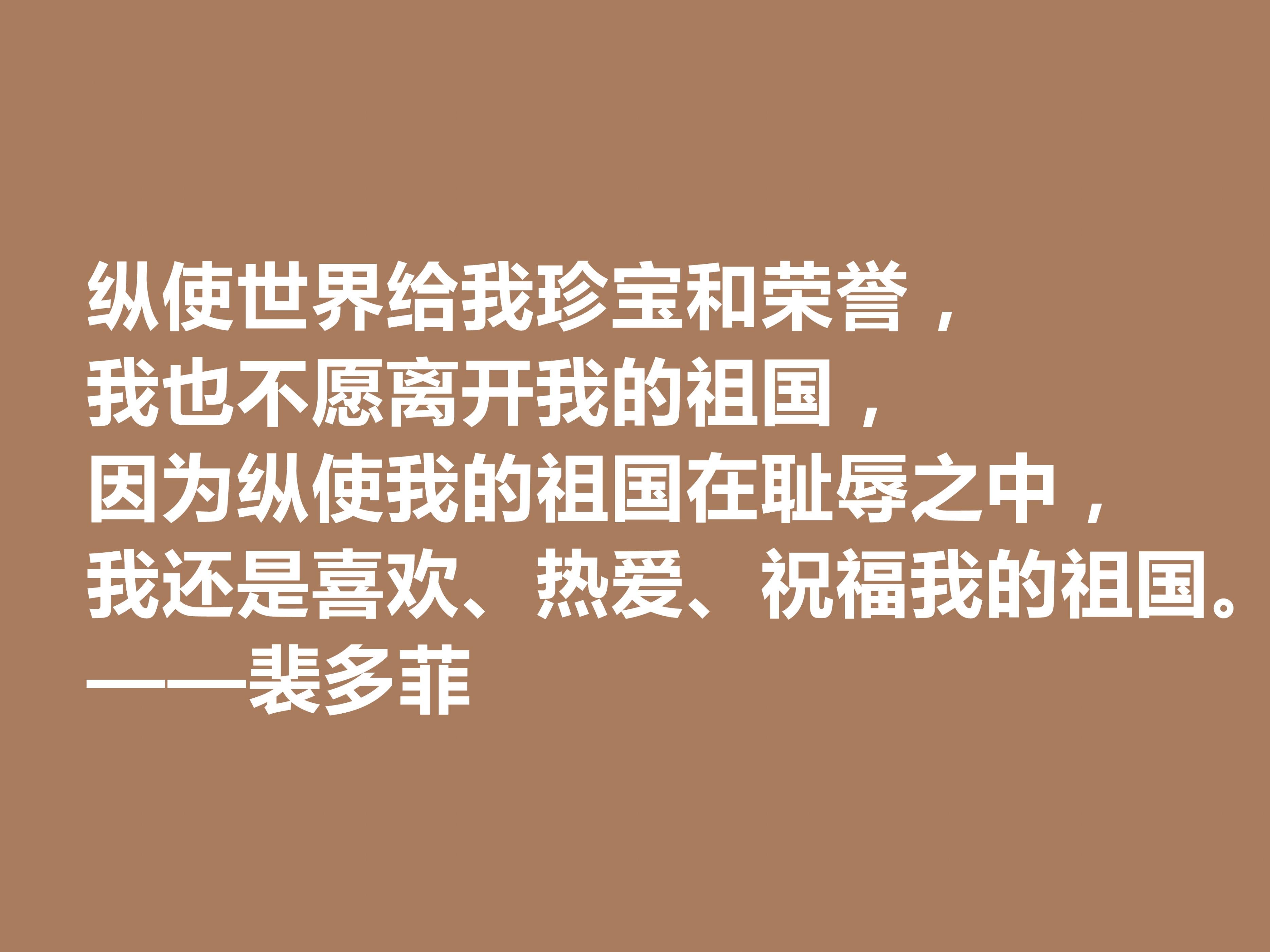 匈牙利爱国诗人著名诗句（裴多菲十句诗句）