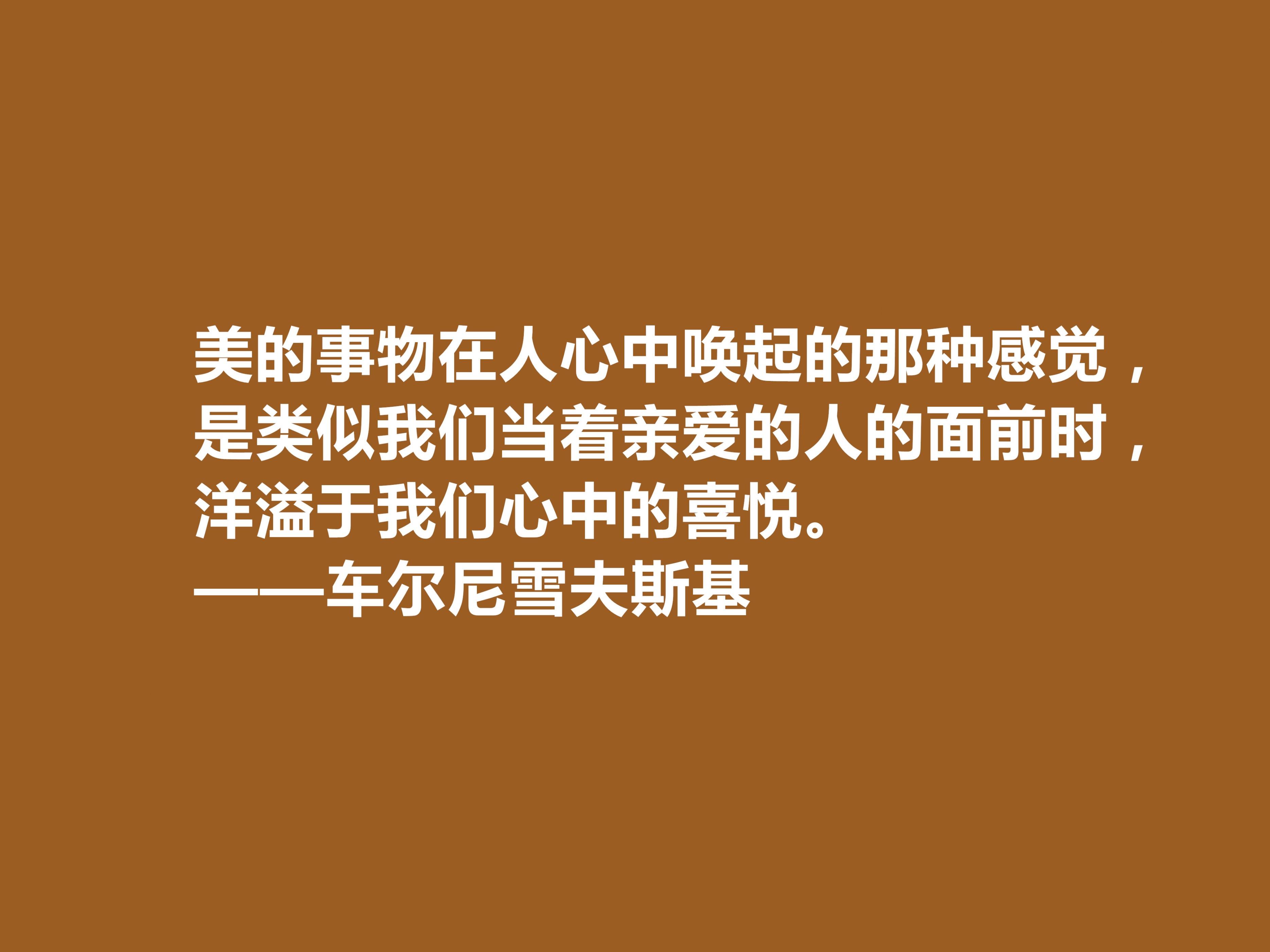 俄国哲学家名言名句（车尔尼雪夫斯基十句格言）