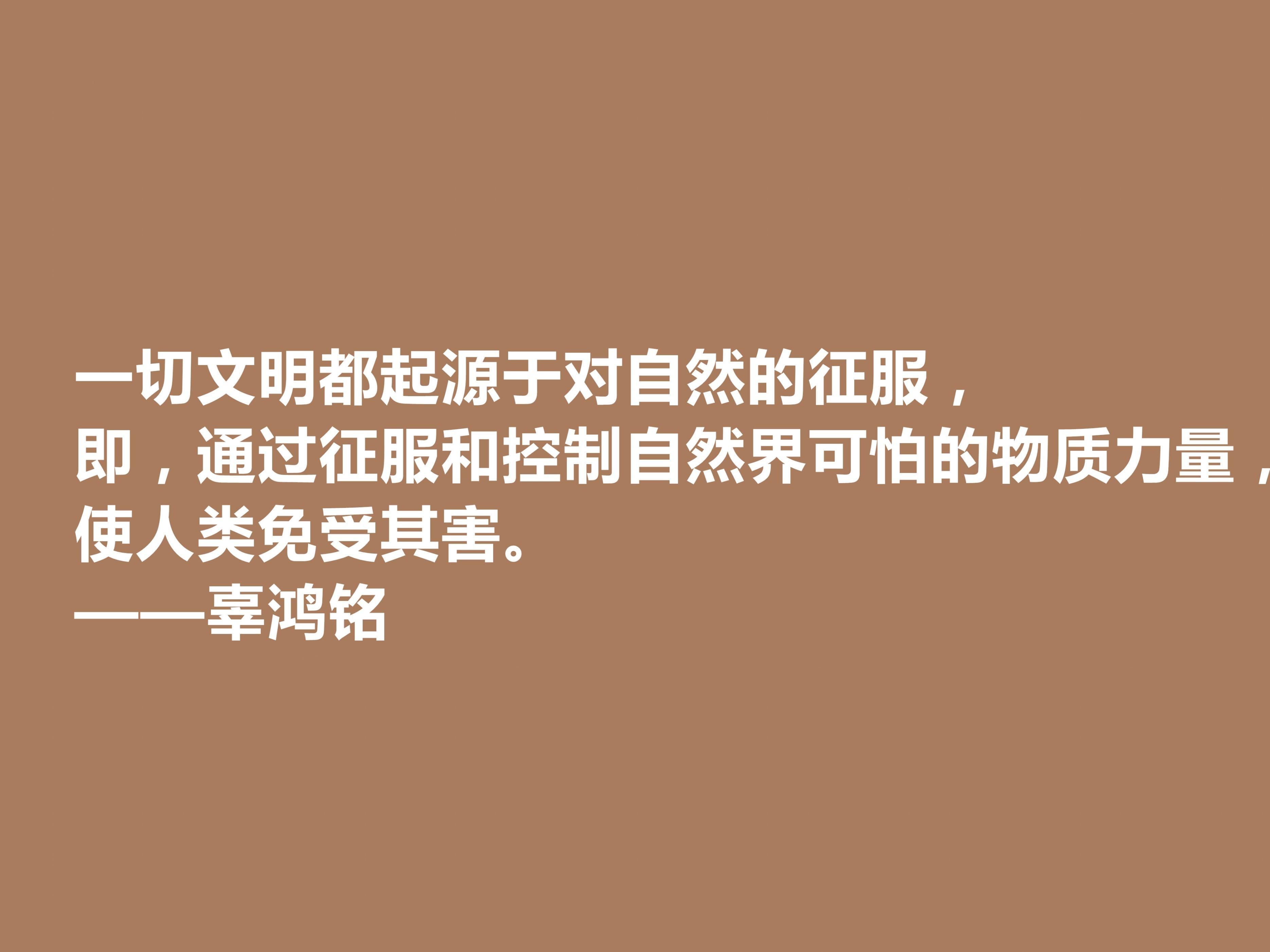 关于辜鸿铭的经典格言（辜鸿铭爱国情怀语录）