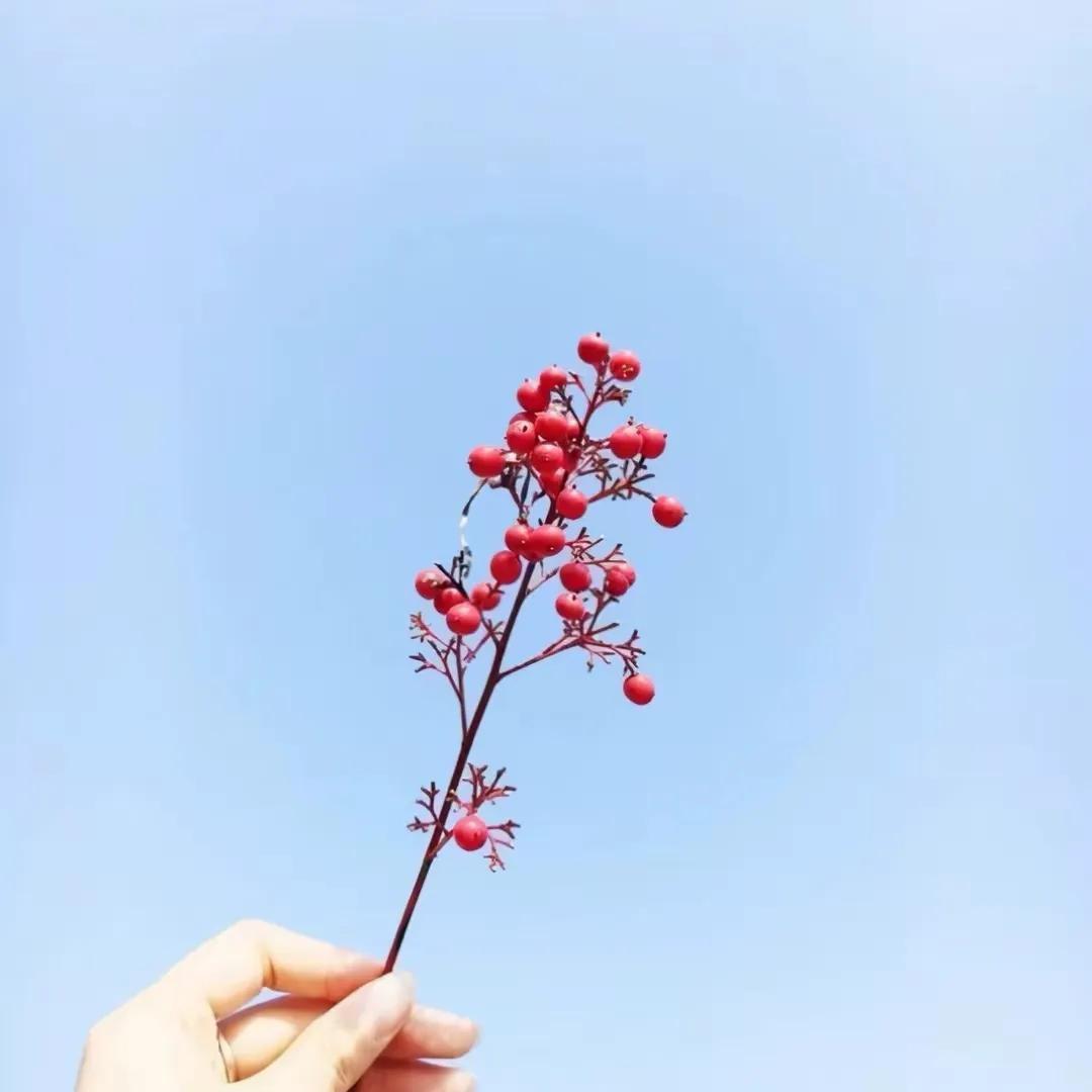 智慧有哲理的句子（每日心灵鸡汤励志语录）