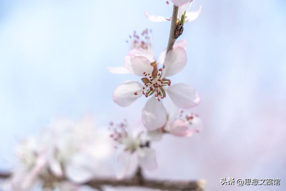 那些惊艳了岁月的句子（美到窒息的经典短句）