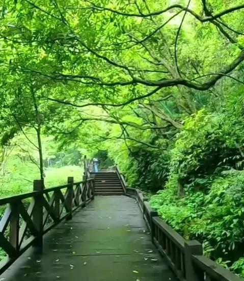 适合夏天的治愈文案（夏日唯美句子）