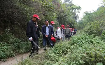 2022组织献爱心工作总结范文（开展献爱心实施总结范例）