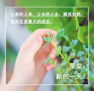 早安正能量问候语（关于高情商早安的语录）