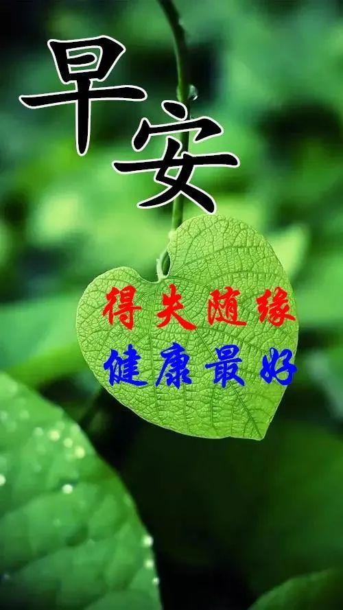 暖心幽默的早安问候语（夏天早上祝福语大全）