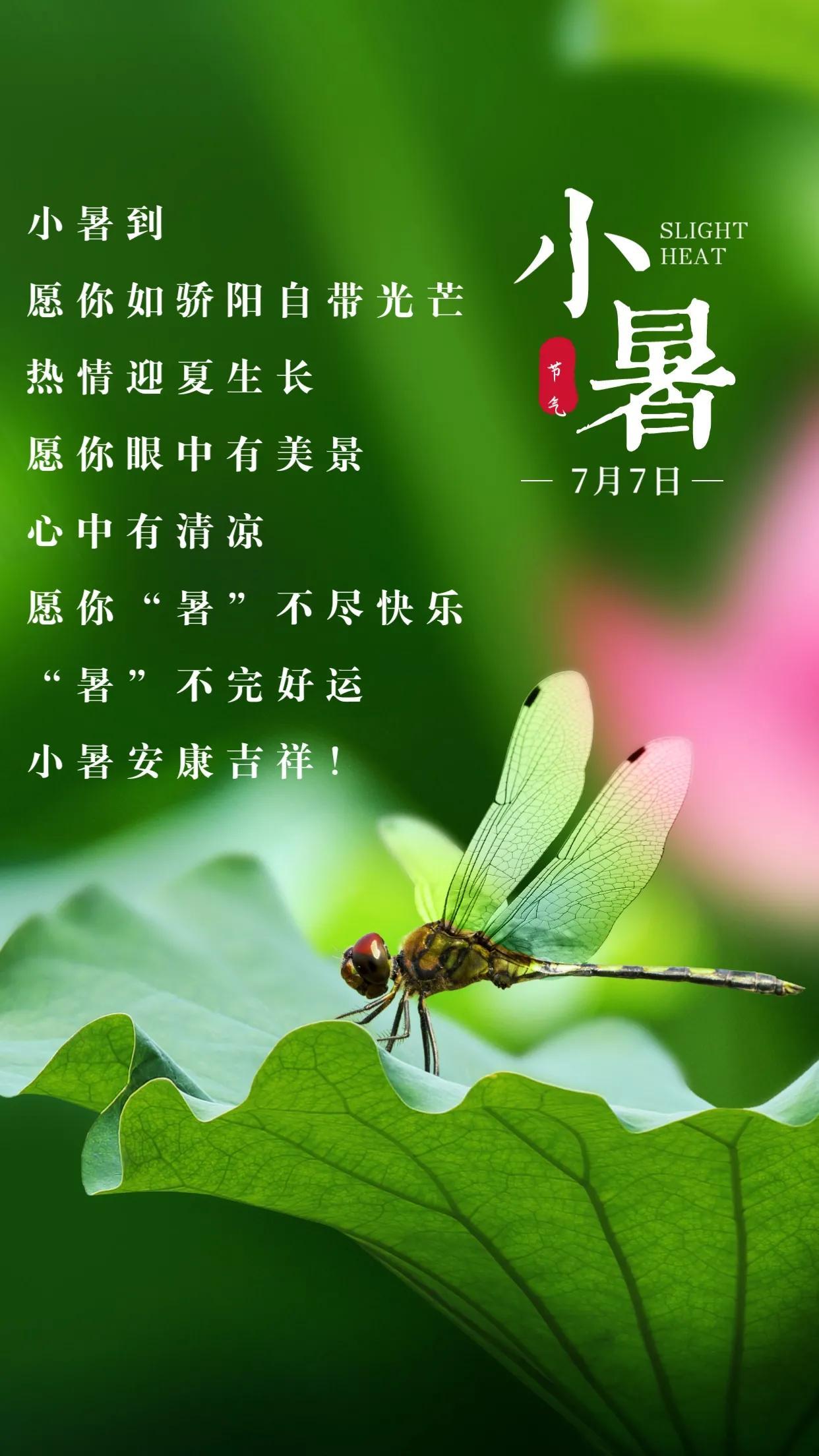 关于小暑节气的文案（小暑节气的祝福短句）