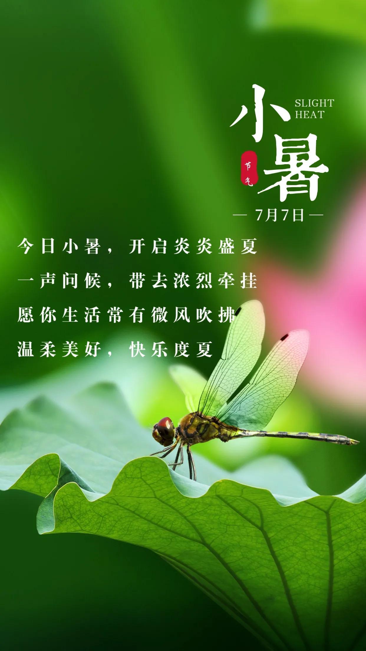 关于小暑节气的文案（小暑节气的祝福短句）