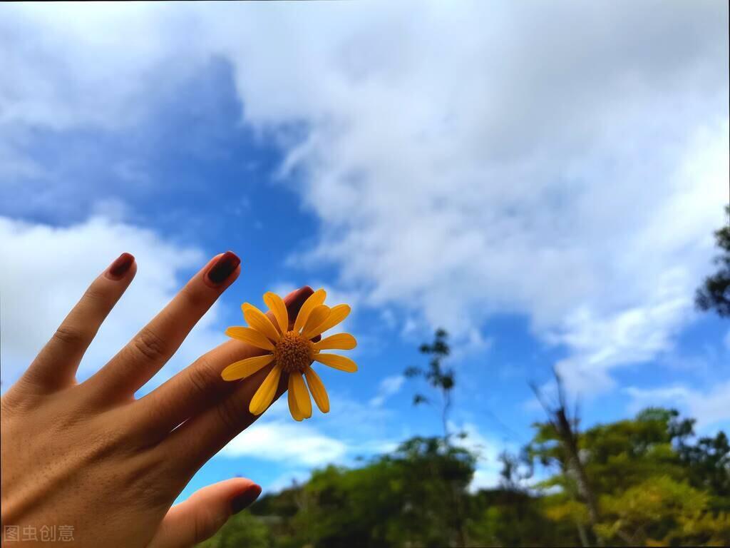 治愈心情的人生感悟文案（人生哲理精辟句子）