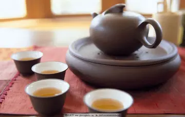 小幸运优秀作文800字（茶是水与茶叶的幸运）