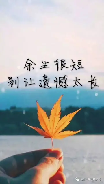 形容心情的成语句子（表达心情的成语）