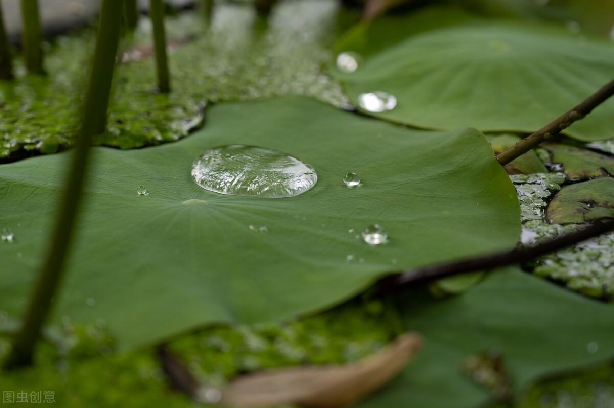 夏天诗词佳句大全（描写夏天的优美古诗）