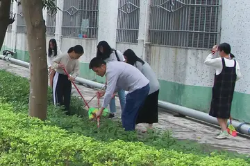 2022校园环境卫生整治方案模板（学校环境卫生工作方案范本）