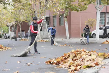 2022学校卫生环境治理实施方案模板（院校环境卫生整顿策划方案范本）