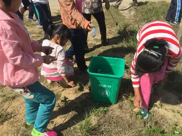 2022小学全国爱国卫生月主题方案范本（小学全国爱国卫生月实施方案模板）