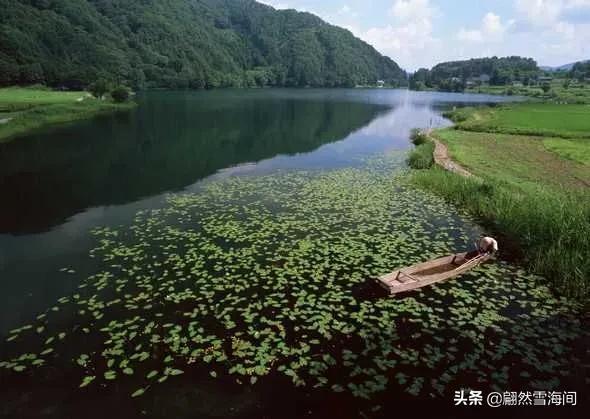 描写山水田园古诗鉴赏（10首唯美山水田园诗句）