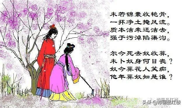 葬花吟原文赏析（葬花吟原文的千古名句）