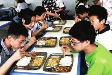 2022营养健康饮食主题教案范本（学生营养饮食策划教案模板）