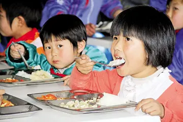 2022营养健康饮食主题教案范本（学生营养饮食策划教案模板）