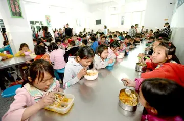 2022学生营养餐工作总结范文（学校营养餐实施总结范例）