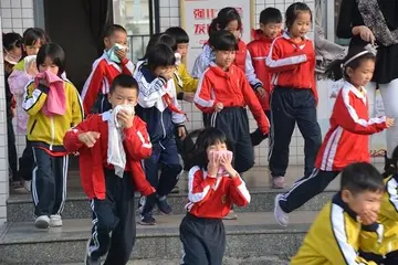 2022小学防灾减灾宣传总结范文（小学防灾减灾活动总结范例）