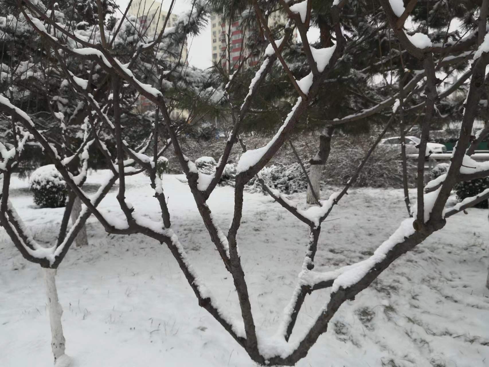 关于咏春风花草香诗歌十首（赏花古诗鉴赏）