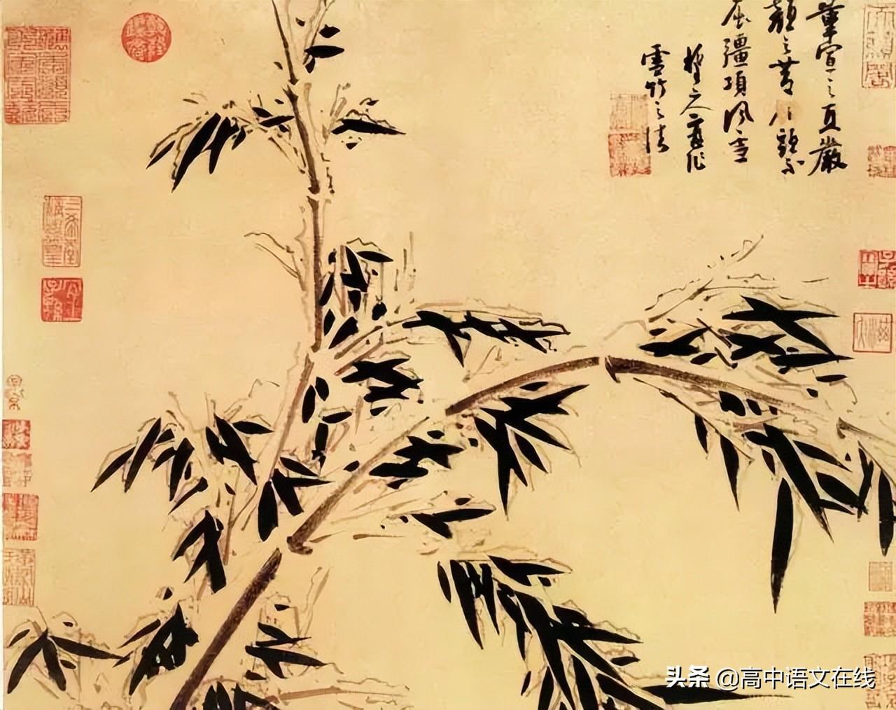 古代咏竹诗精选100首（赞美竹子的优美古诗句）