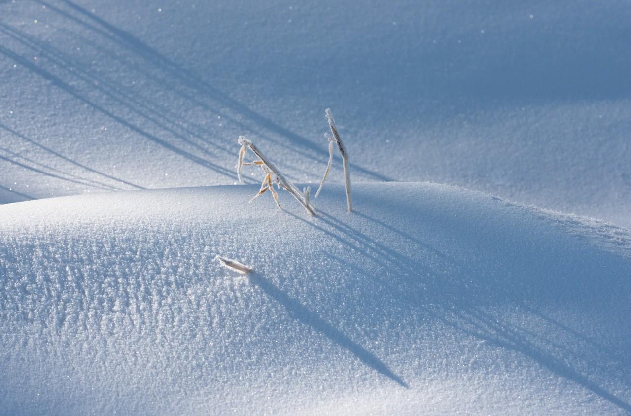 关于咏雪的诗词名句（咏雪的古诗大全）