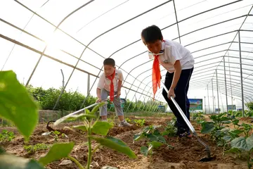 2022高校劳动实践课程活动方案模板（院校劳动教育工作策划方案范本）