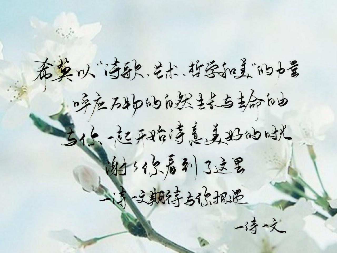 白驹过隙，四季更替（关于四季变换的句子）