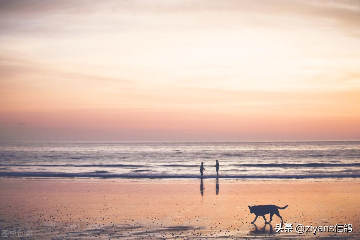 描写落日余晖的优美句子（夏日的夕阳写景句子）