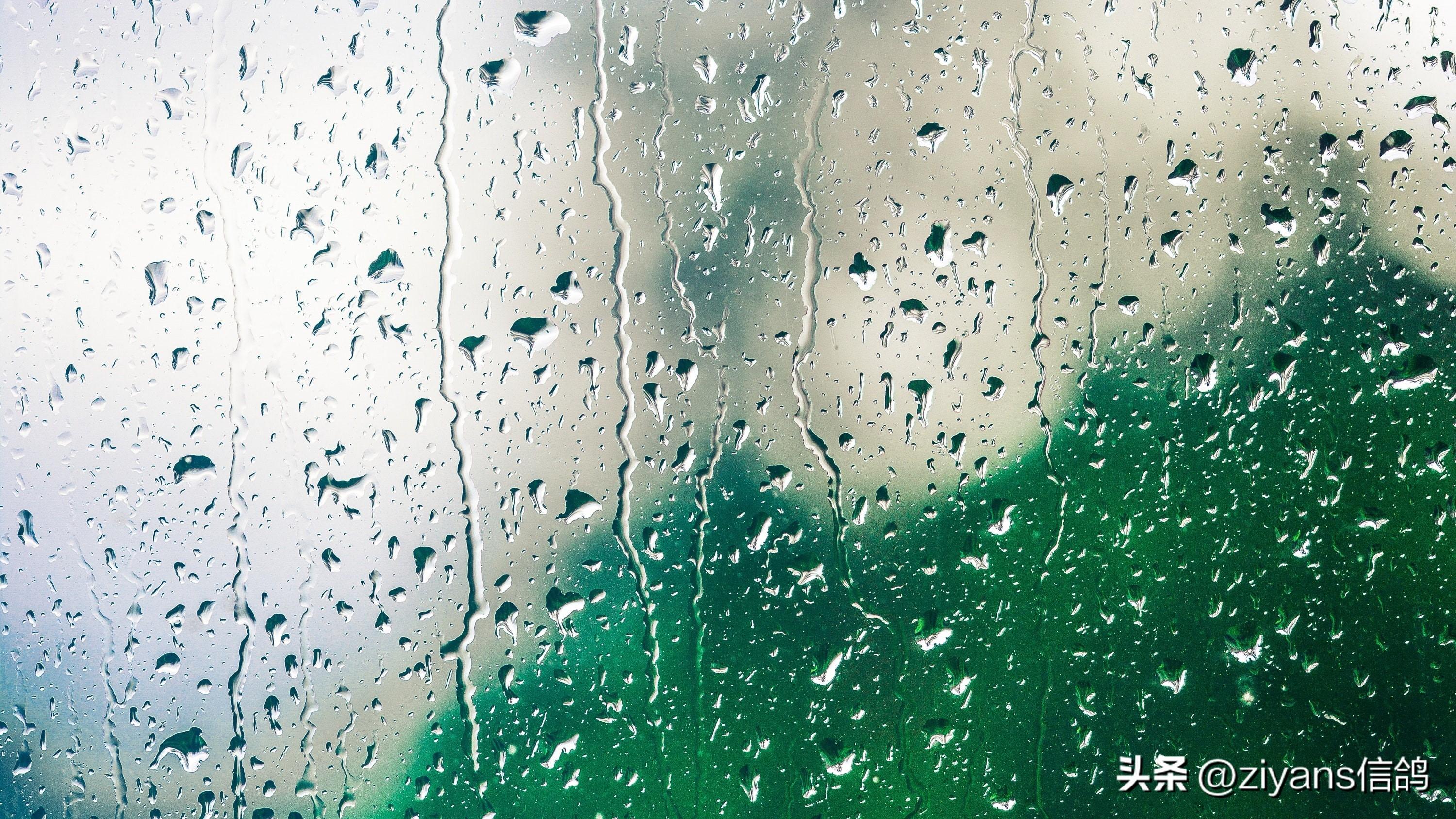 写雨景唯美简短诗句（古诗词里的雨）