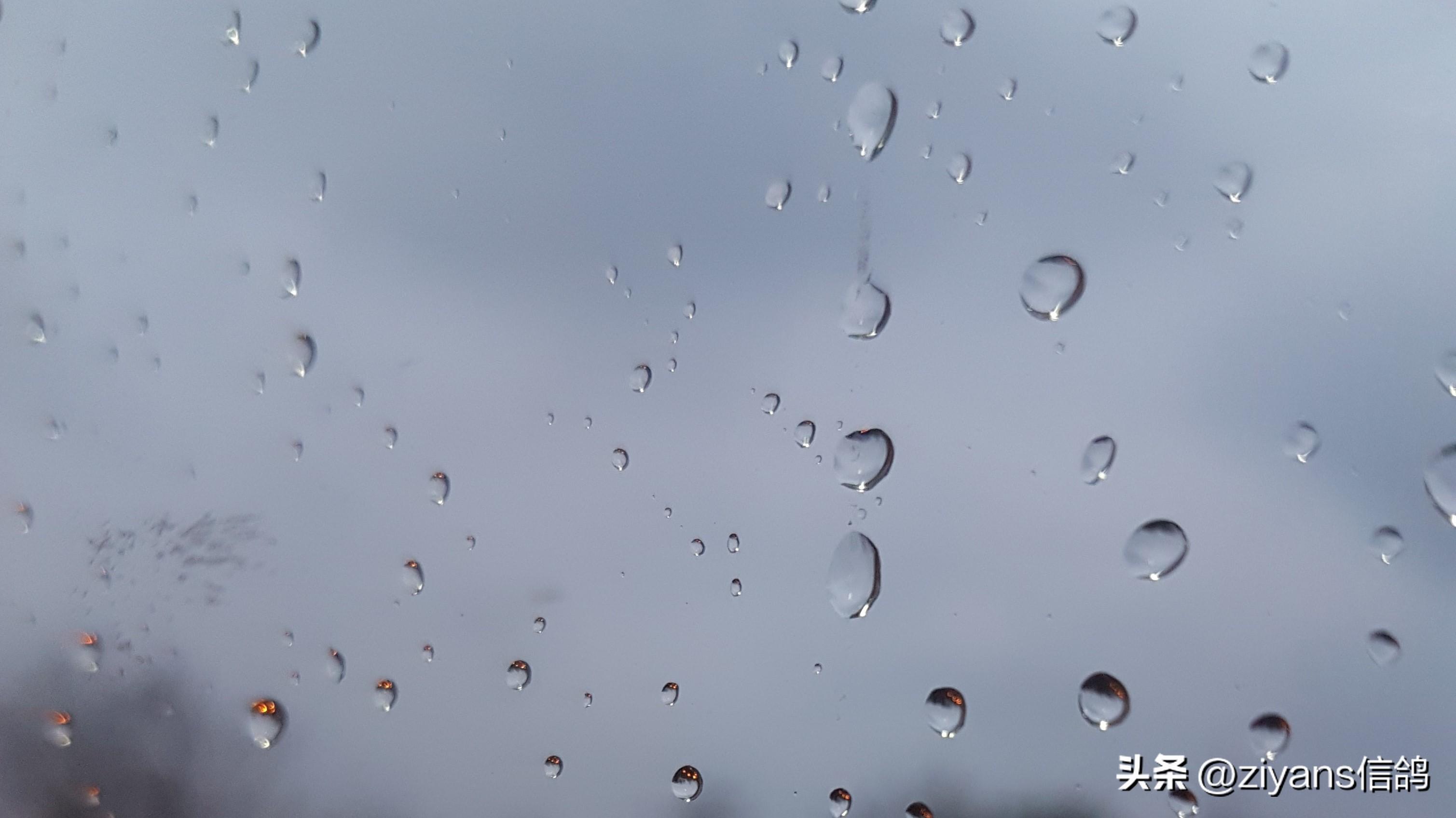 写雨景唯美简短诗句（古诗词里的雨）