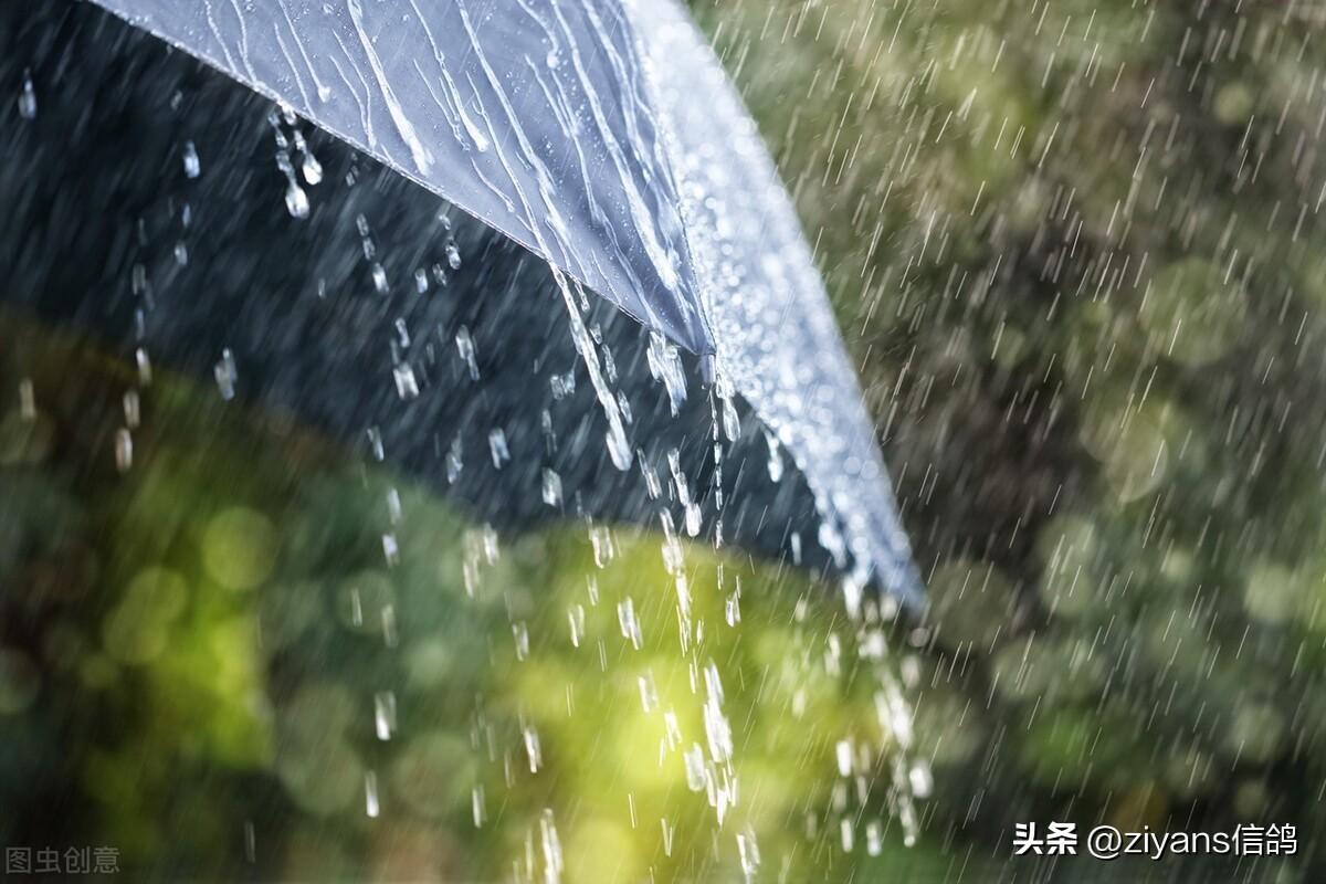 雨是一生错过，雨是悲欢离合（描写雨的惊艳句子）