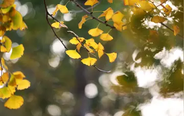 满分作文生活中的小启示（生活中的小发现范文）