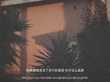 关于心情低落的文案（心情低落的经典语录）