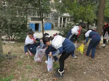 2022学校爱国卫生工作总结范文（校园爱国卫生活动总结范例）