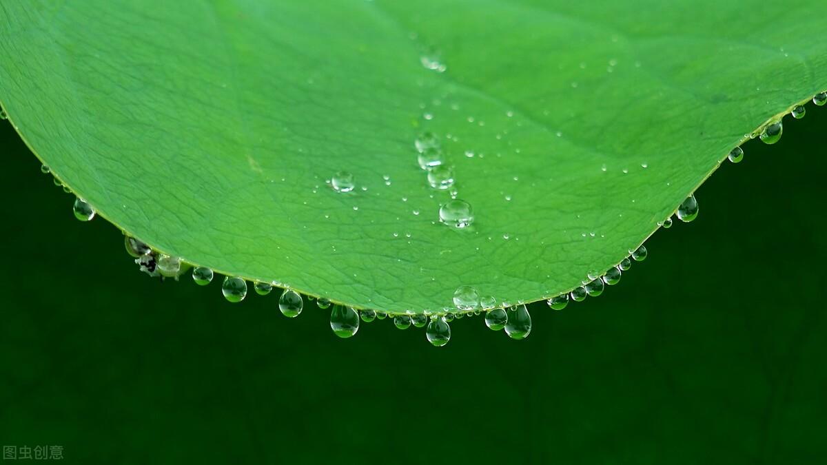 夏至古诗大全鉴赏（25首经典夏至诗词）