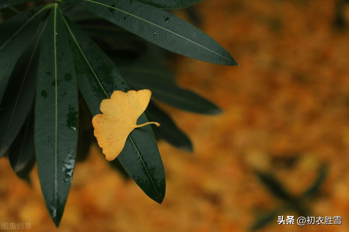 描写唯美秋雨古诗（八月秋雨诗词五首）