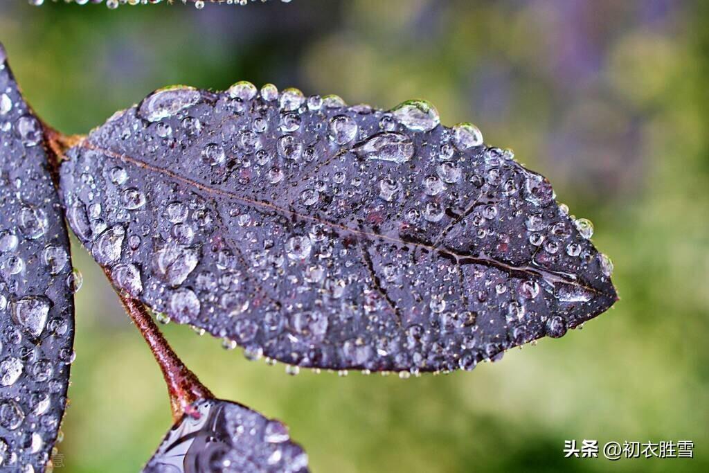 有关入伏时节的诗词赏析（六首出伏古诗）