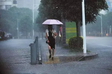 2022暴雨天气应急处置方案模板（防台风防暴雨实施方案范本）