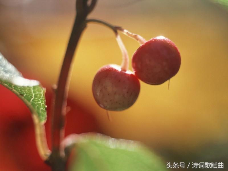 形容九月的唯美诗句（述写金秋九月的优美古诗）