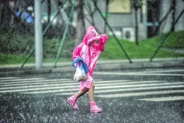 2022防暴雨安全教育教案范文（防雷电暴雨知识教案范例）