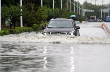 2022防台风暴雨安全主题教案范本（防雷电暴雨普及活动教案模板）