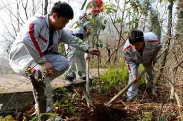 2022植树节公益义务活动方案模板（植树节公益主题策划方案范本）