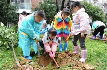 2022植树节公益义务活动方案模板（植树节公益主题策划方案范本）