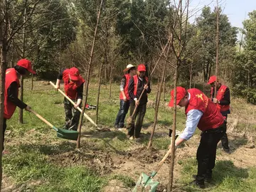 2022植树节公益义务活动方案模板（植树节公益主题策划方案范本）