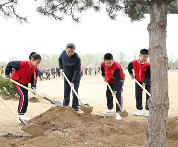 2022植树节公益义务活动方案模板（植树节公益主题策划方案范本）