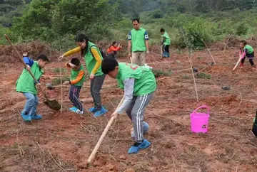 2022植树节公益义务活动方案模板（植树节公益主题策划方案范本）