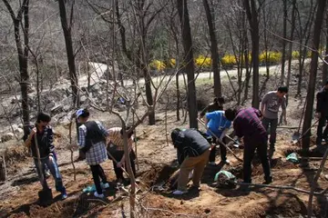 2022植树节公益义务活动方案模板（植树节公益主题策划方案范本）